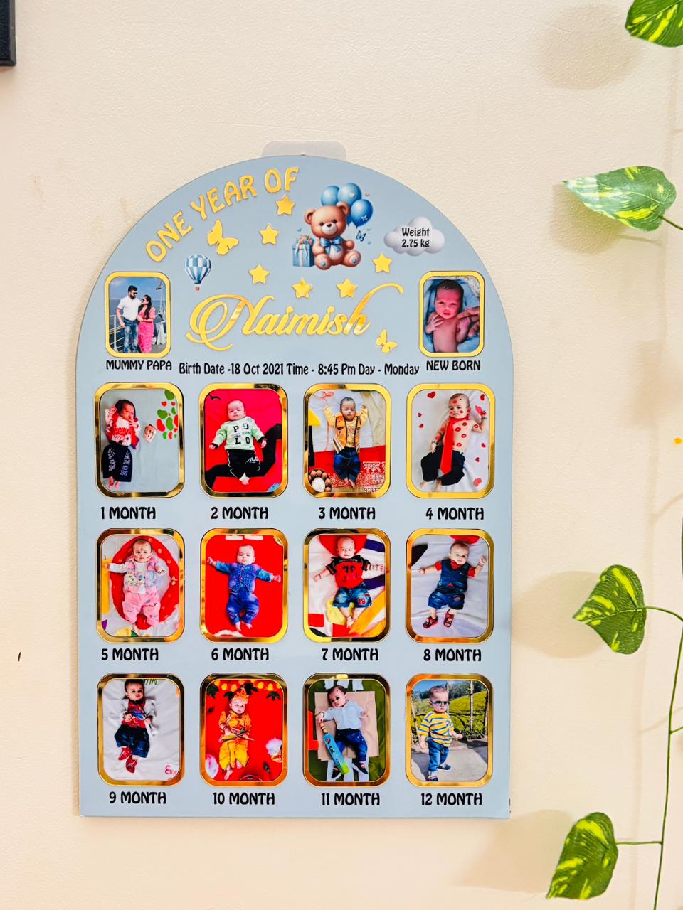 First Year Milestone Wall Hanging Baby Frame